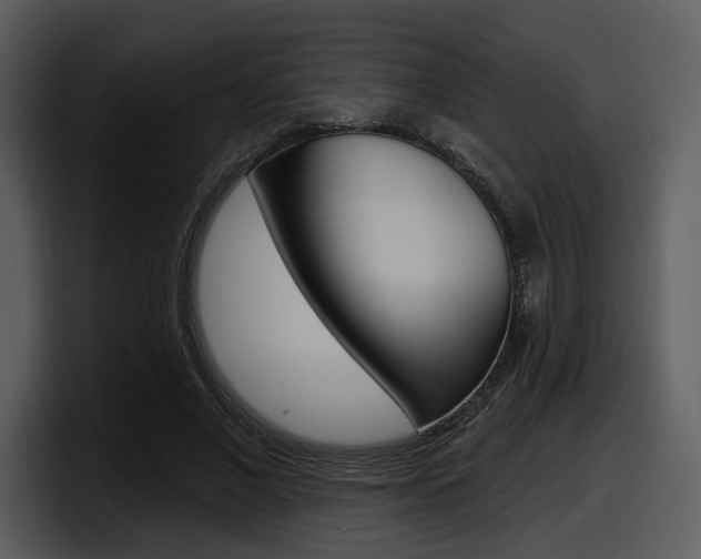X0000098090685200804040727