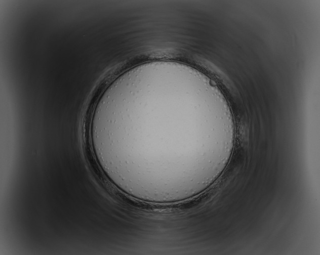 X0000098090686200804040727