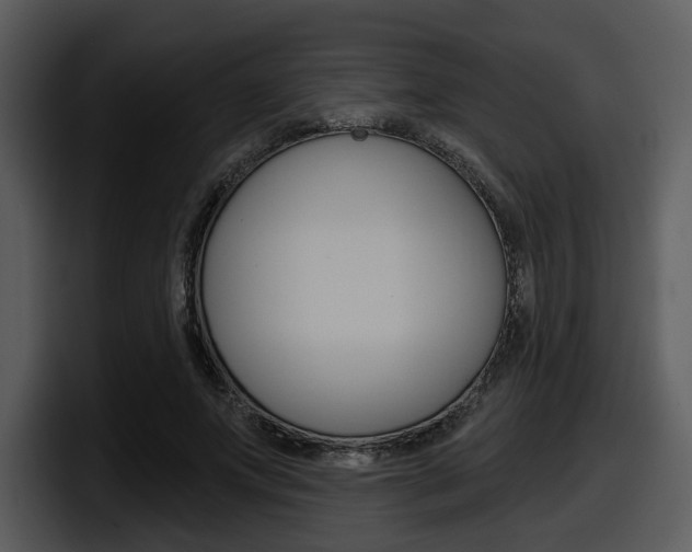 X0000098090687200804040727