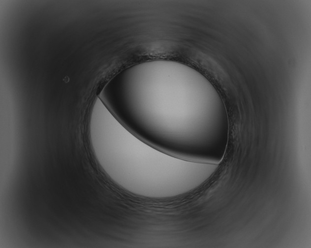 X0000098090689200804040727