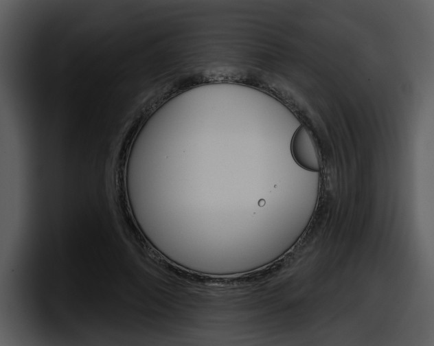 X0000098090690200804040727