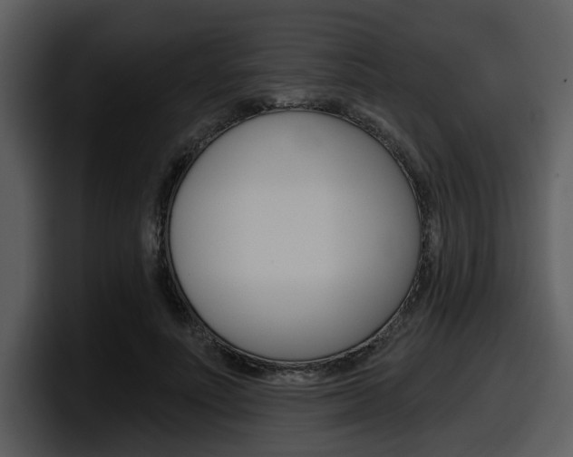 X0000098090691200804040727
