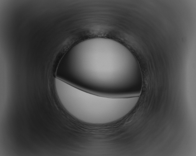 X0000098090693200804040727