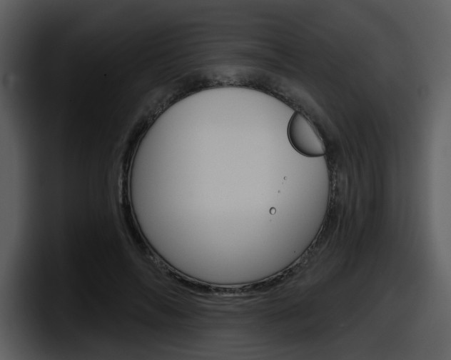 X0000098090694200804040727
