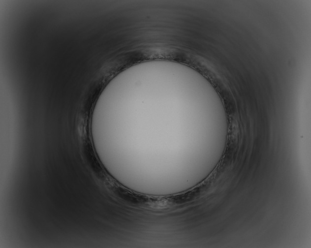 X0000098090695200804040727