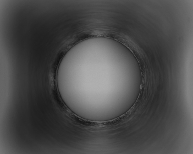 X0000098090696200804040727