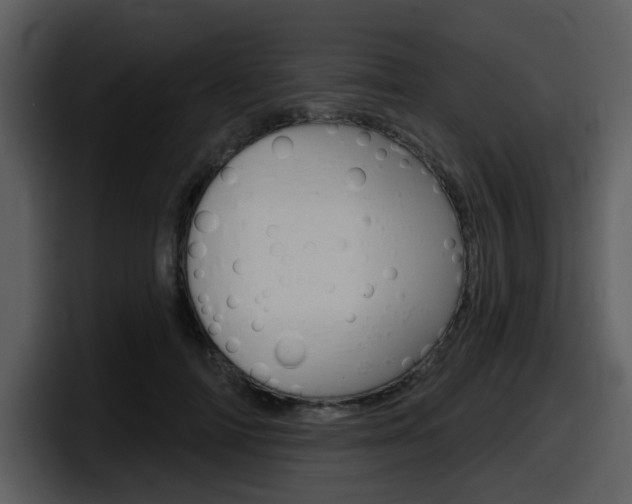 X0000098090698200804040726