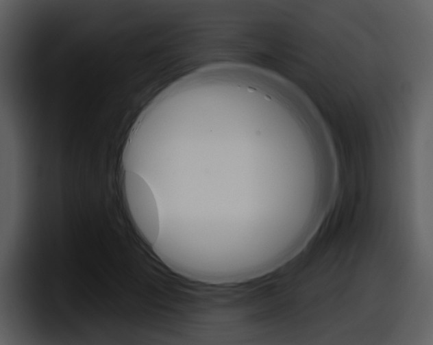 X0000098090701200804040726
