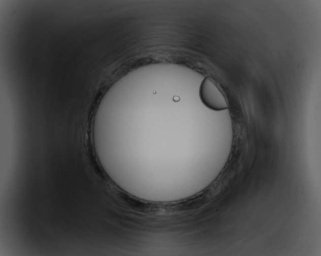 X0000098090702200804040726