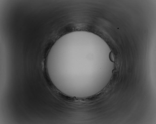 X0000098090703200804040726
