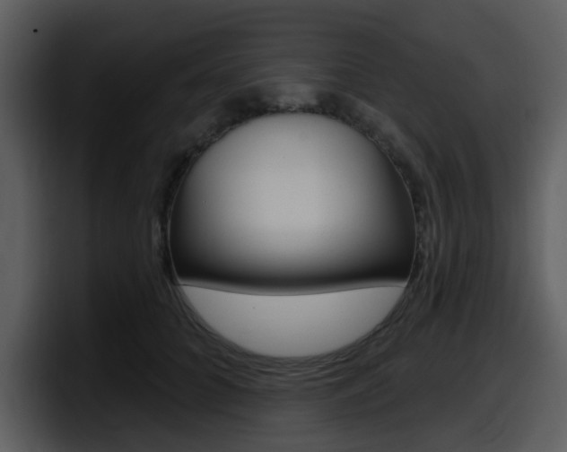 X0000098090704200804040726