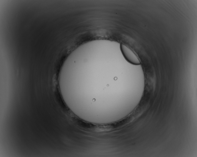 X0000098090707200804040726