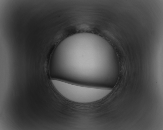 X0000098090708200804040726