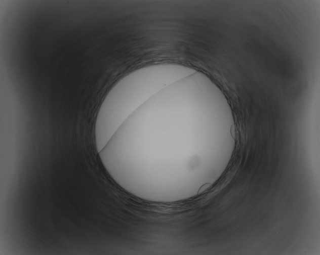 X0000098090709200804040726
