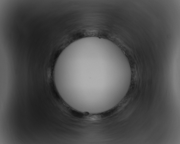 X0000098090711200804040726