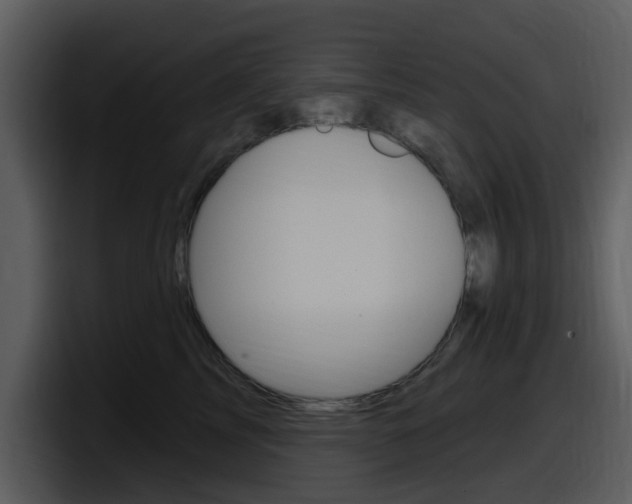 X0000098090713200804040726