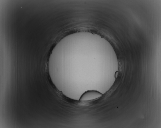X0000098090718200804040726