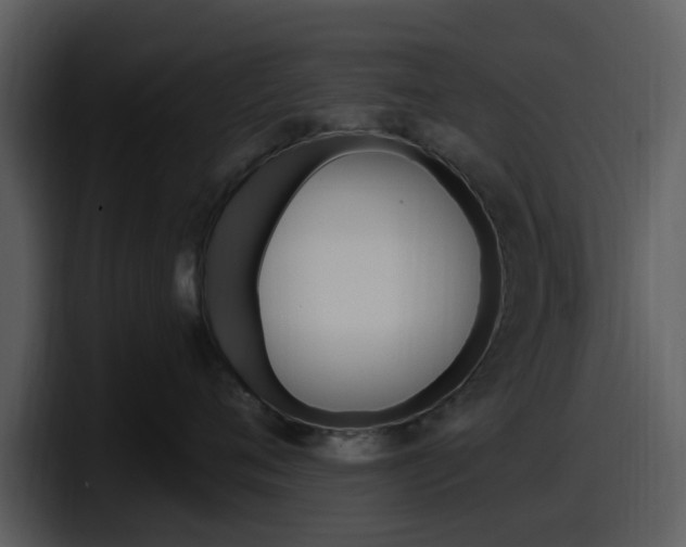 X0000098090720200804040726