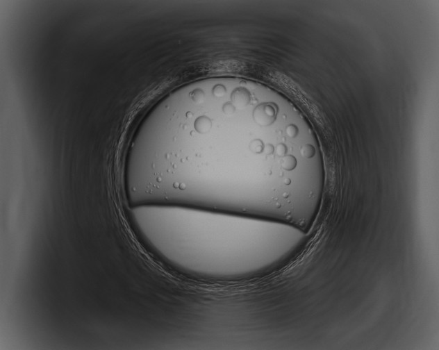 X0000098090721200804040726