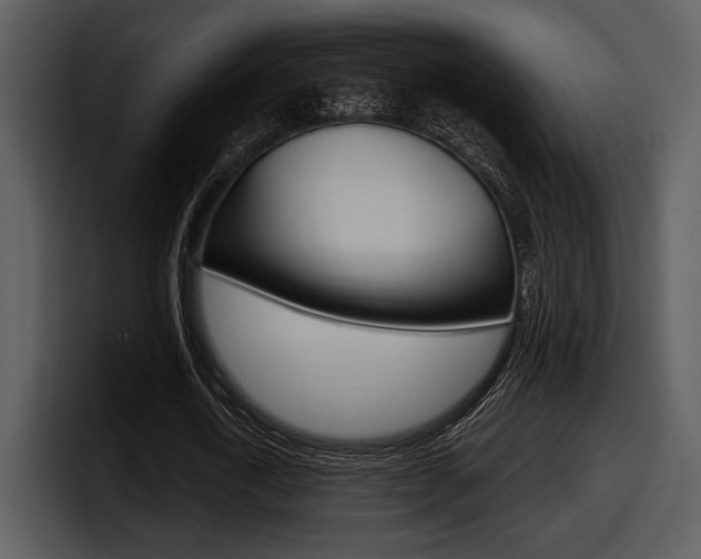 X0000098090722200804040726