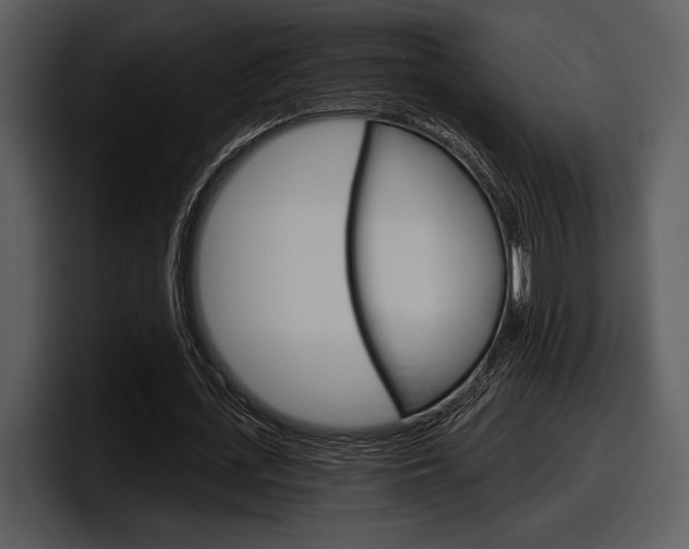 X0000098090723200804040726