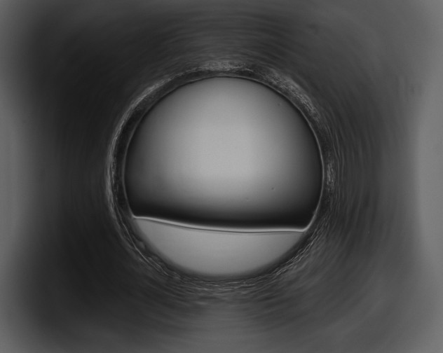 X0000098090724200804040726