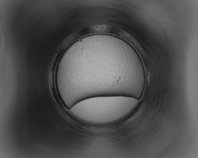 X0000098090725200804040726