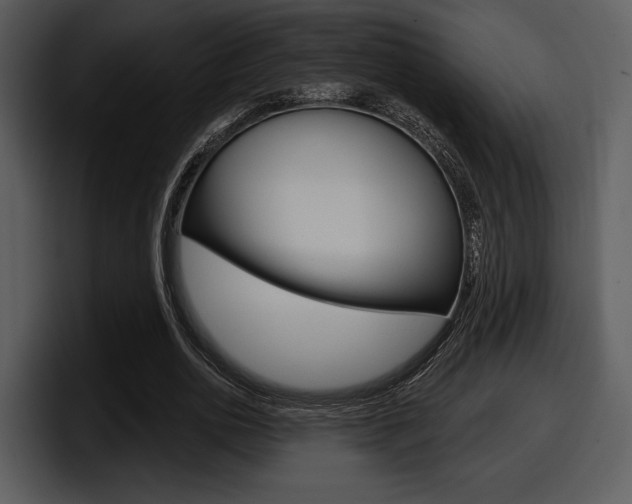 X0000098090726200804040726