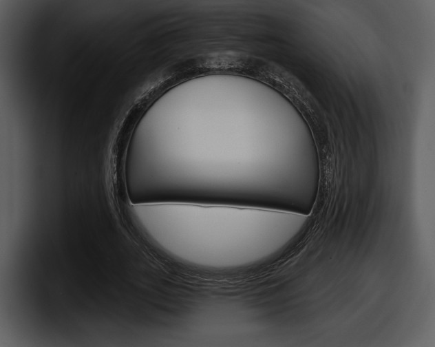 X0000098090727200804040726