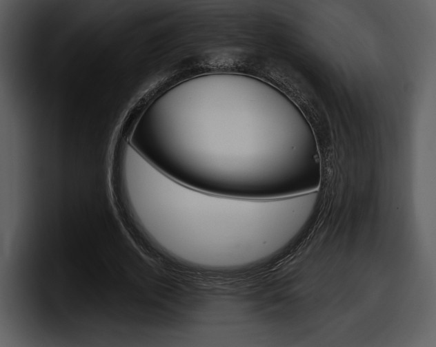 X0000098090728200804040726