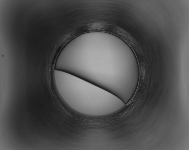 X0000098090729200804040726