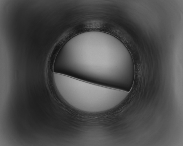 X0000098090731200804040726