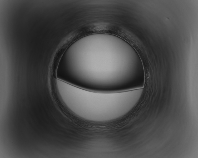 X0000098090732200804040726