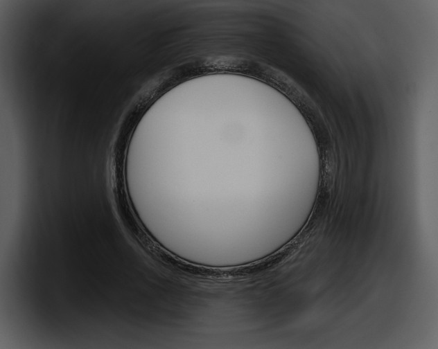 X0000098090734200804040726