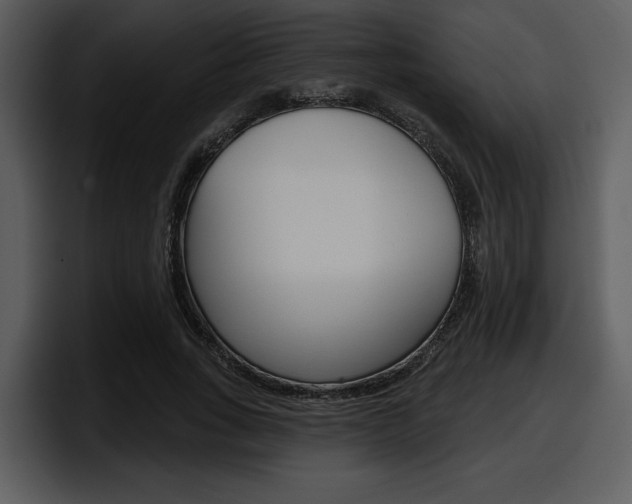 X0000098090735200804040726