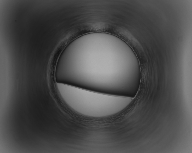 X0000098090736200804040726