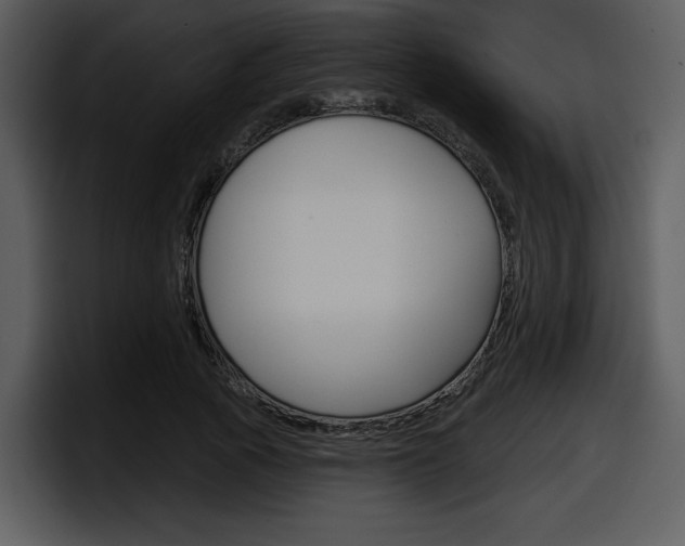 X0000098090737200804040726