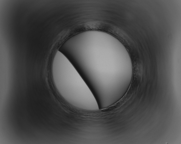 X0000098090738200804040726