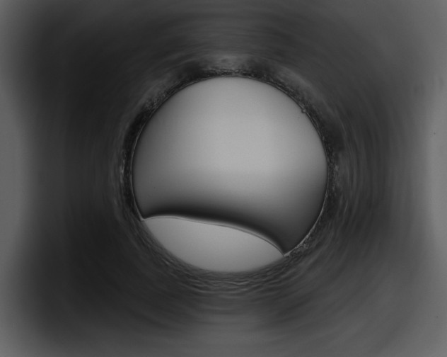 X0000098090739200804040726