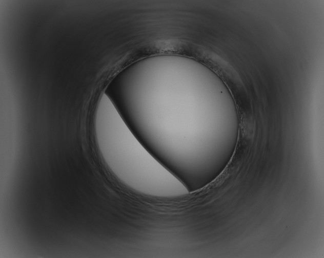 X0000098090740200804040726
