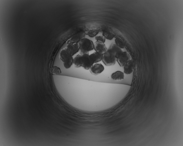 X0000098090741200804040726