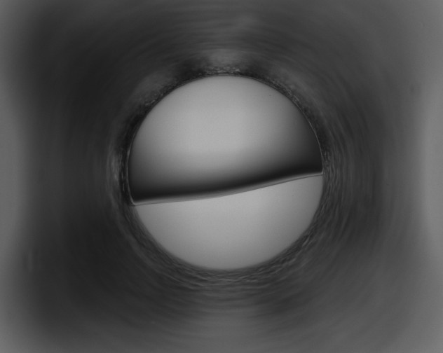 X0000098090742200804040726