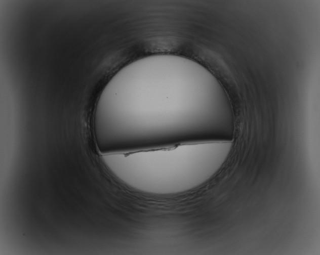 X0000098090743200804040726