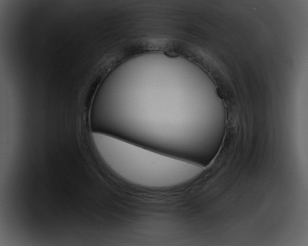 X0000098090744200804040726