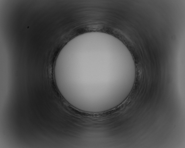 X0000098090745200804040726