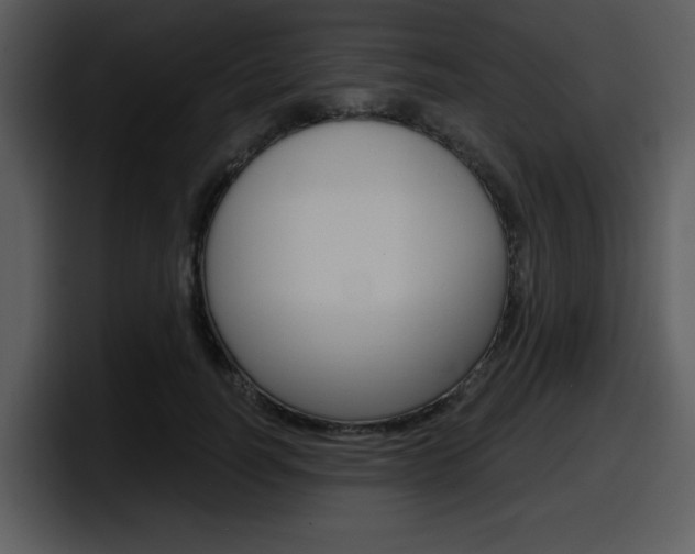 X0000098090746200804040726