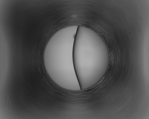 X0000098090747200804040726