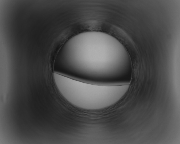 X0000098090748200804040726