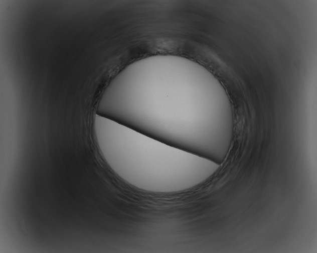 X0000098090749200804040726