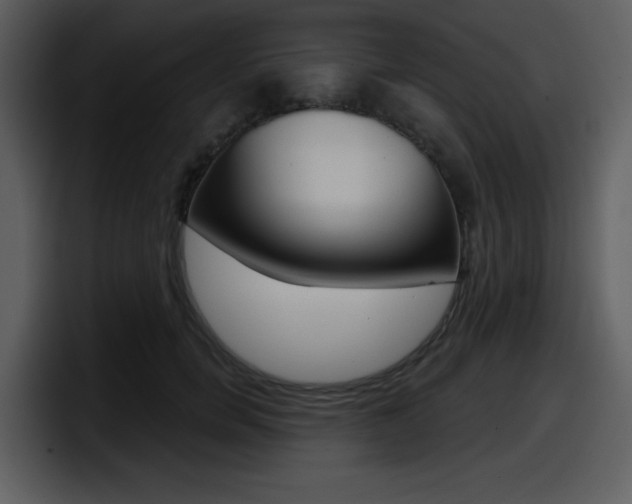 X0000098090750200804040726